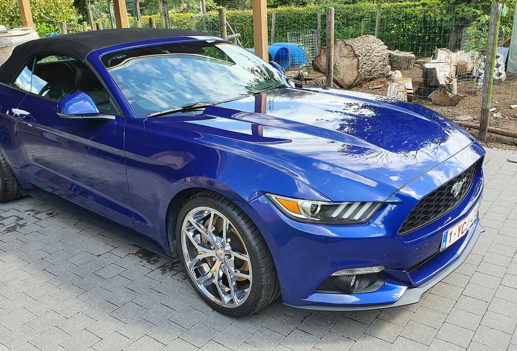 Ford Mustang Convertible 2.3 EcoBoost