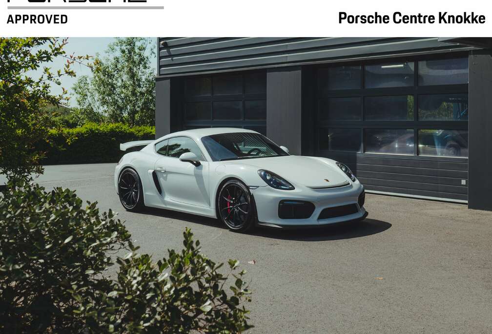Porsche 981 GT4  NEW  64L  Bucketseats