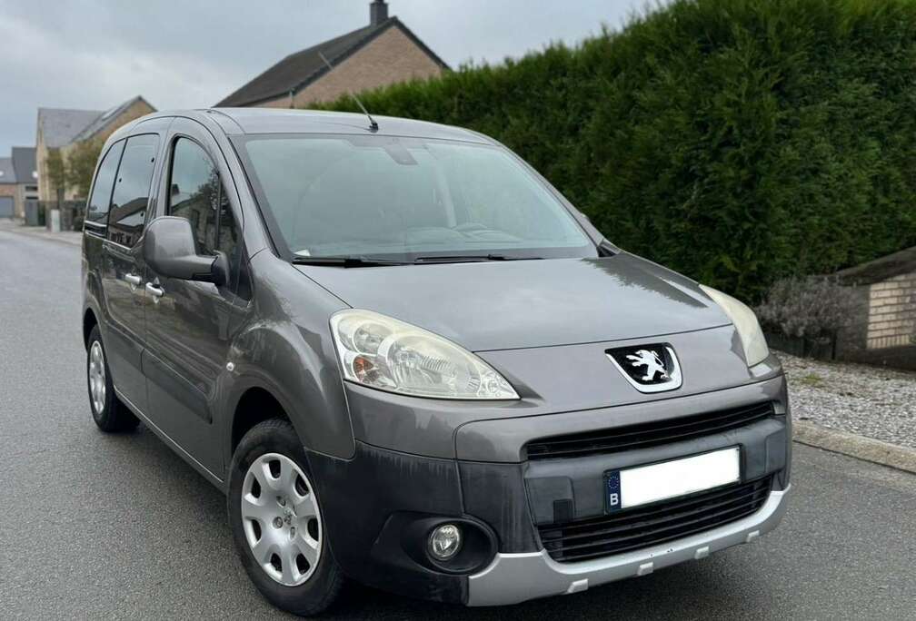 Peugeot Tepee 1.6 HDi FAP 75ch Access