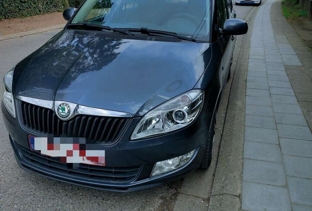 Skoda 1.6 CR TDi Ambiente DPF