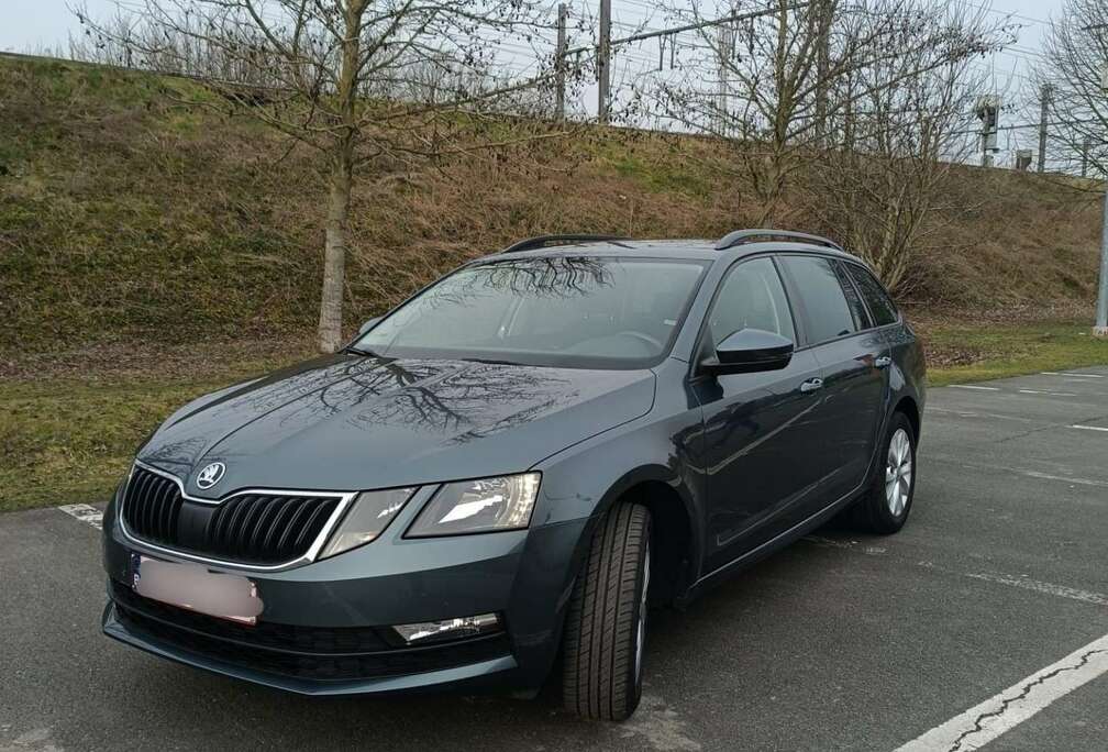 Skoda SW 1.6 CR TDi Ambition DSG (EU6d)