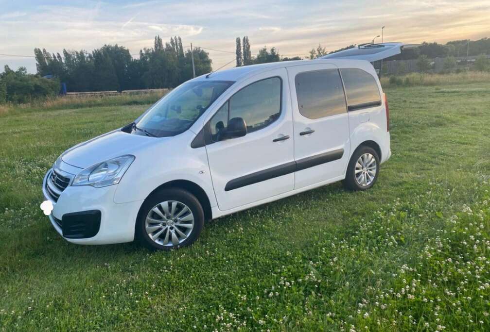 Peugeot Tepee 98 VTi Active