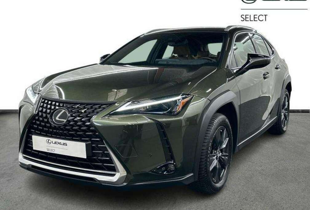 Lexus Business Line 184pk + Towbar & 4 Seas tyres