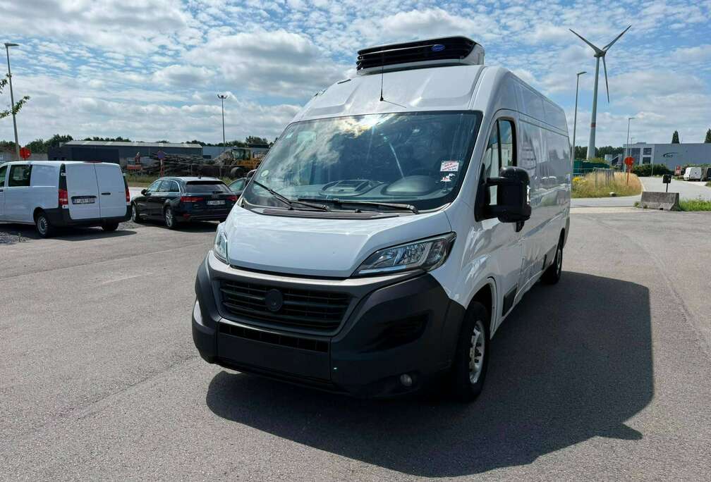Fiat Maxi (Stock ID 40979)