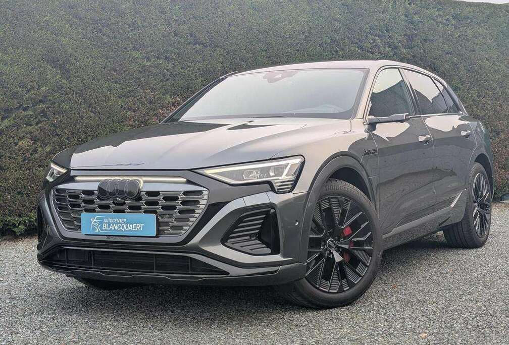 Audi 106 kWh - 2x S-line - editon - black style