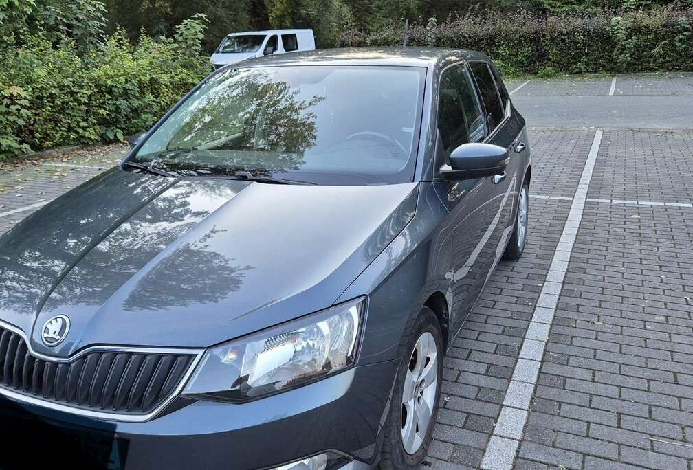 Skoda 1.0