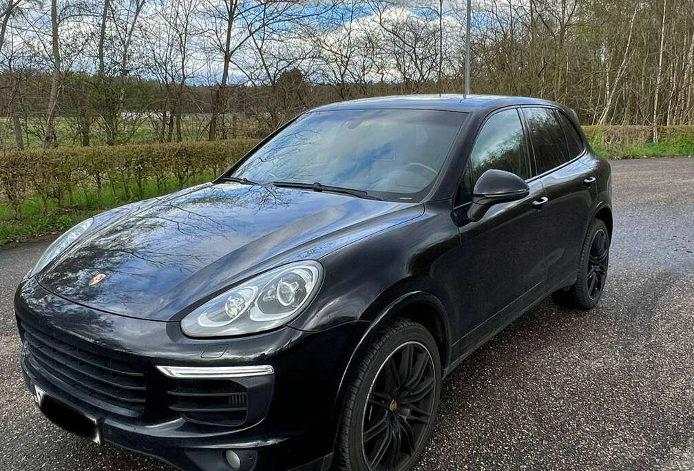 Porsche Diesel Platinum Edition