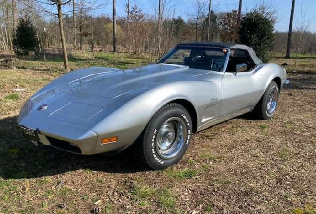 Corvette