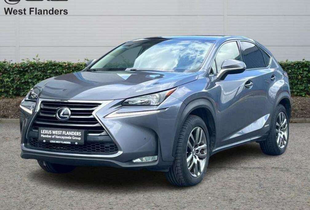 Lexus EXECUTIVE LINE