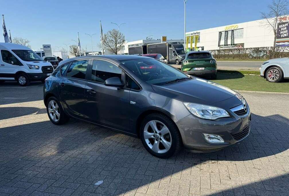 Opel Enkel voor professionele verkoop.