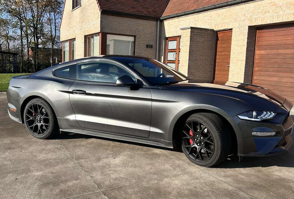 Ford Fastback 2.3 Eco Boost Aut.