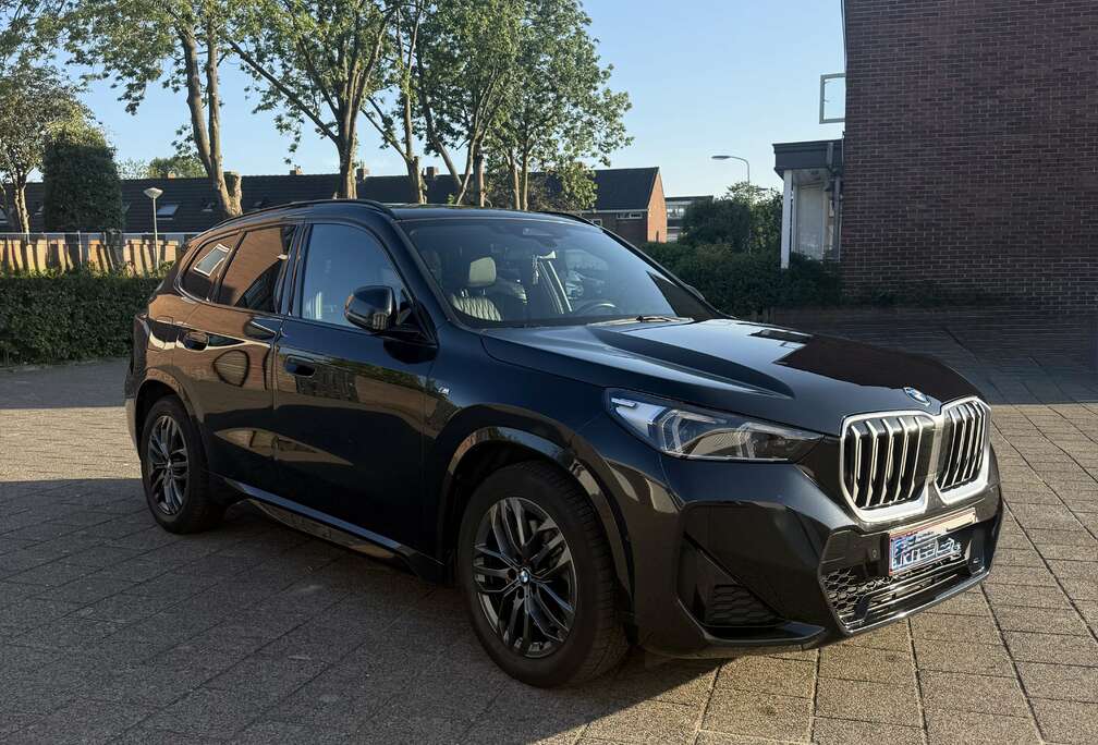 BMW BMW X1 xDrive23d M Sport High Executive | 211 pk |