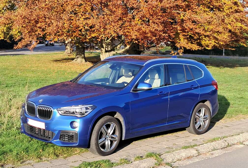 BMW X1 2.0iAS sDrive20 (EU6c)