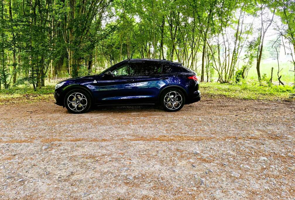 Alfa Romeo Stelvio 2.2 JTD Super (EU6d-TEMP)