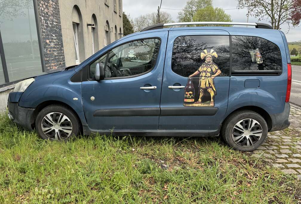 Peugeot Tepee 1.6 HDi Premium
