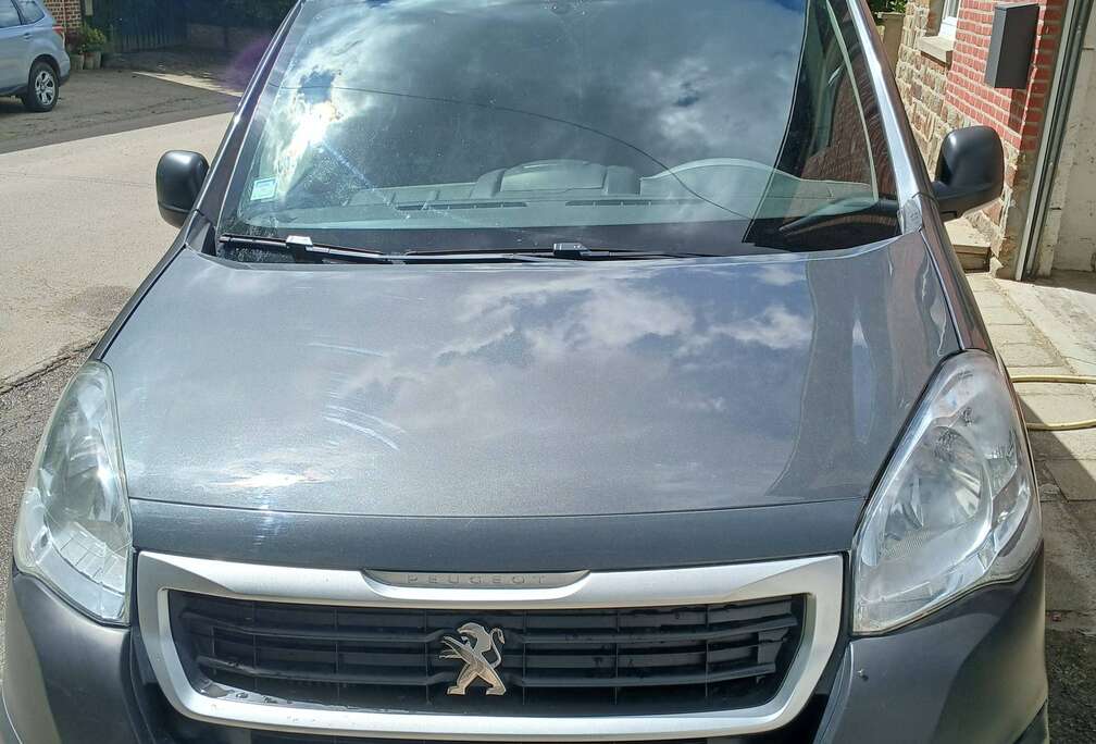 Peugeot 1.6 HDi
