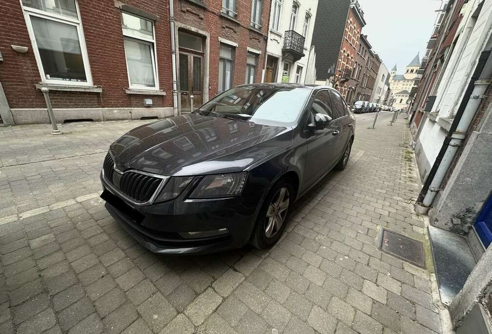Skoda 1.6 CR TDi Ambition