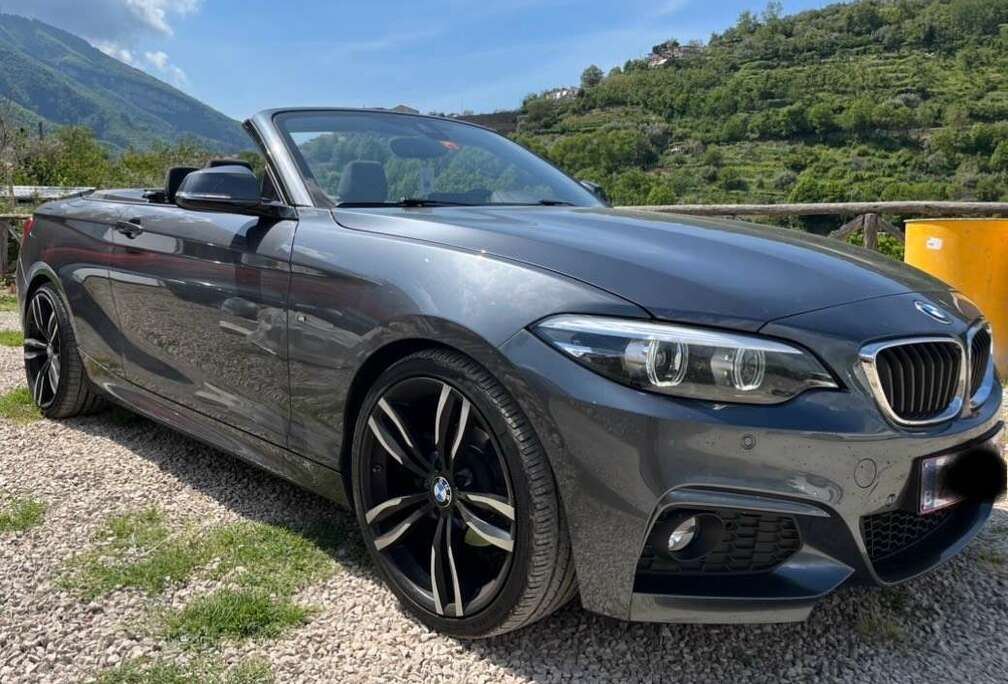 BMW Cabrio dA AdBlue