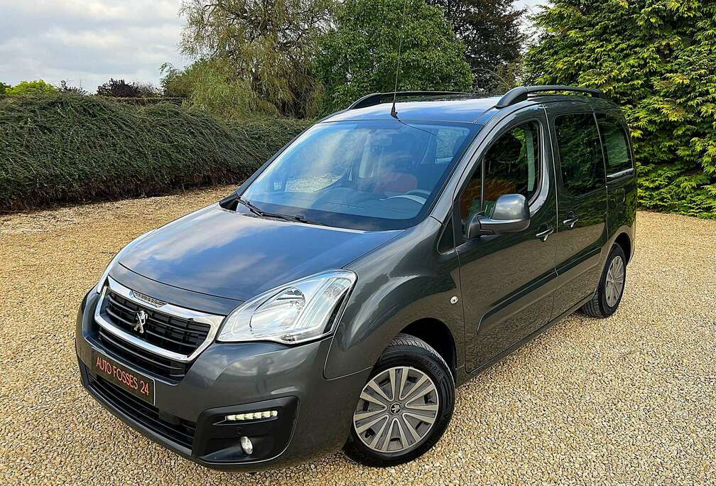 Peugeot Tepee 1.6 BlueHDi Multispace CONDITION MARCHAND