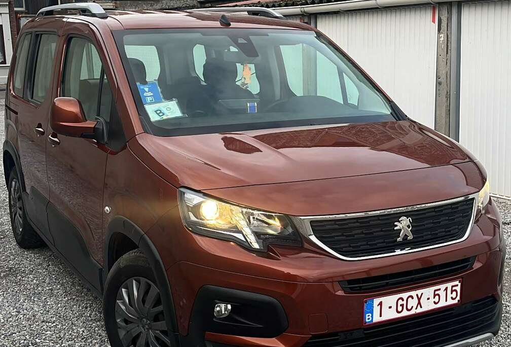 Peugeot 1.5 BlueHDi Standard Active S&S