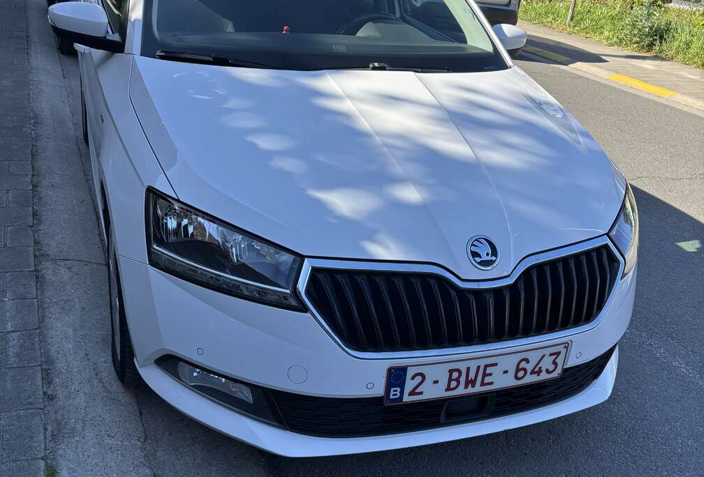 Skoda 1.0 TSI Ultimate Clever
