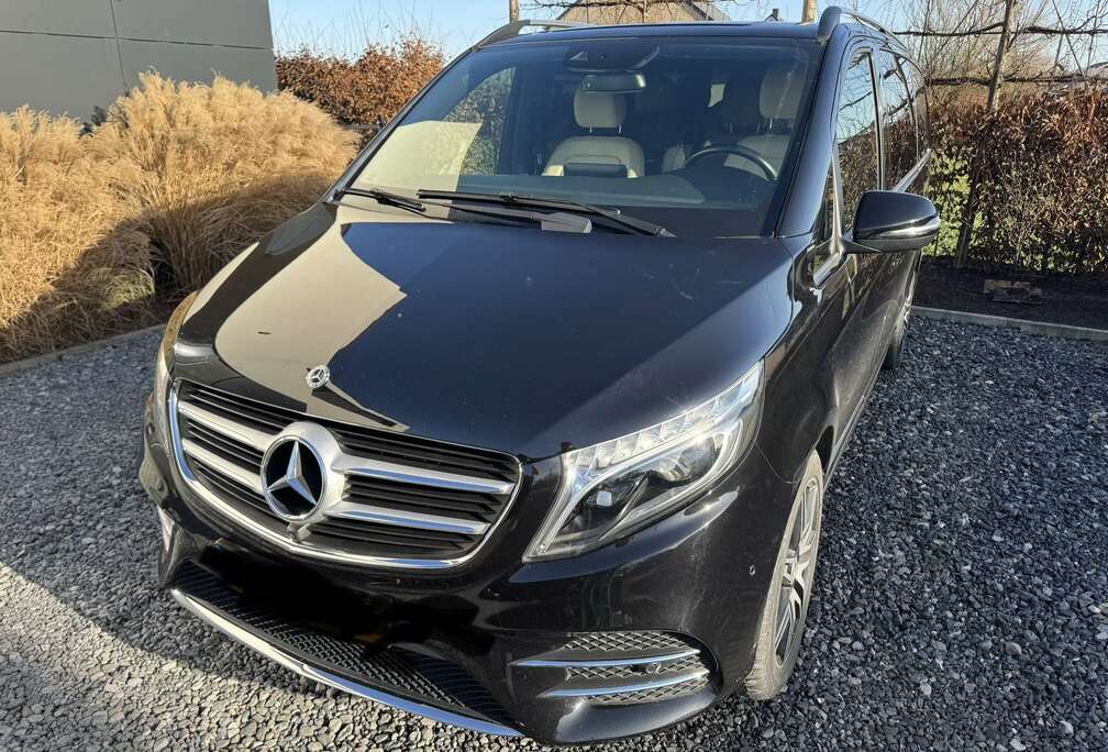 Mercedes-Benz d MWB Avantgarde