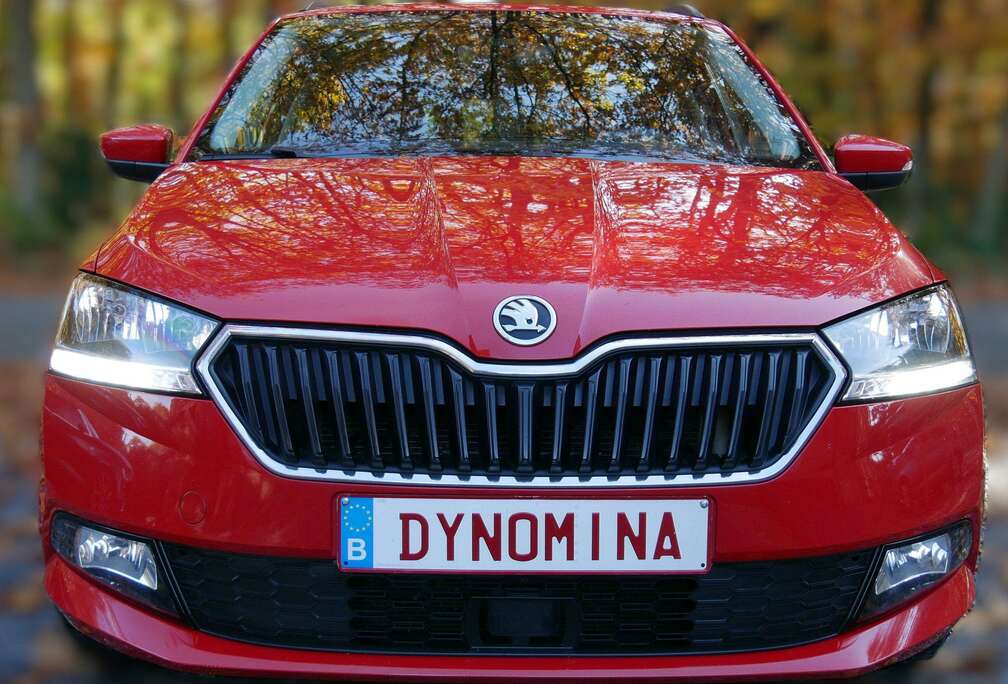 Skoda break 1.0TSI 110pk DSG 2019 137dkm 12m garantie