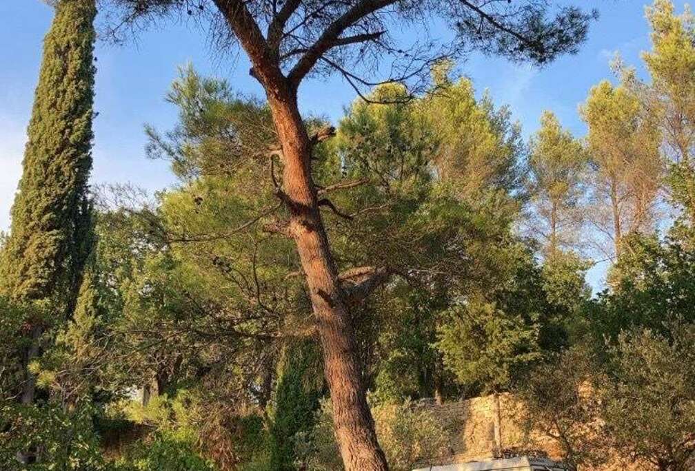 Volkswagen volkswagen T3 - Westfalia