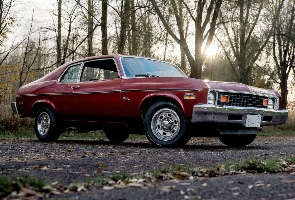 Chevrolet Nova - All original