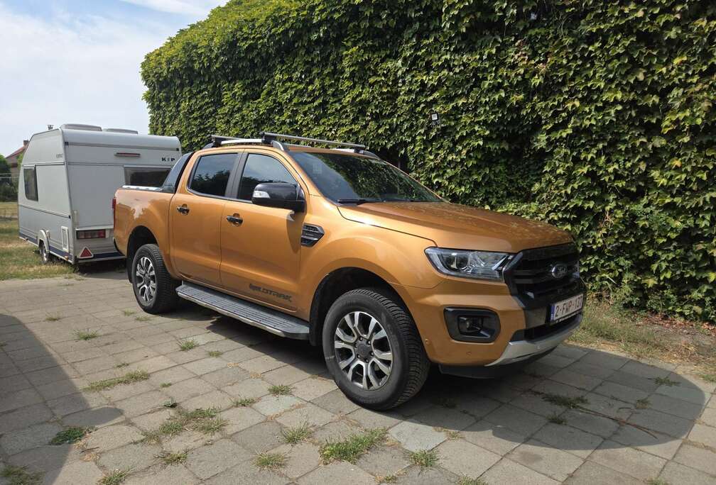 Ford 2.0 BiT EcoBlue Wildtrak (EU6.2)