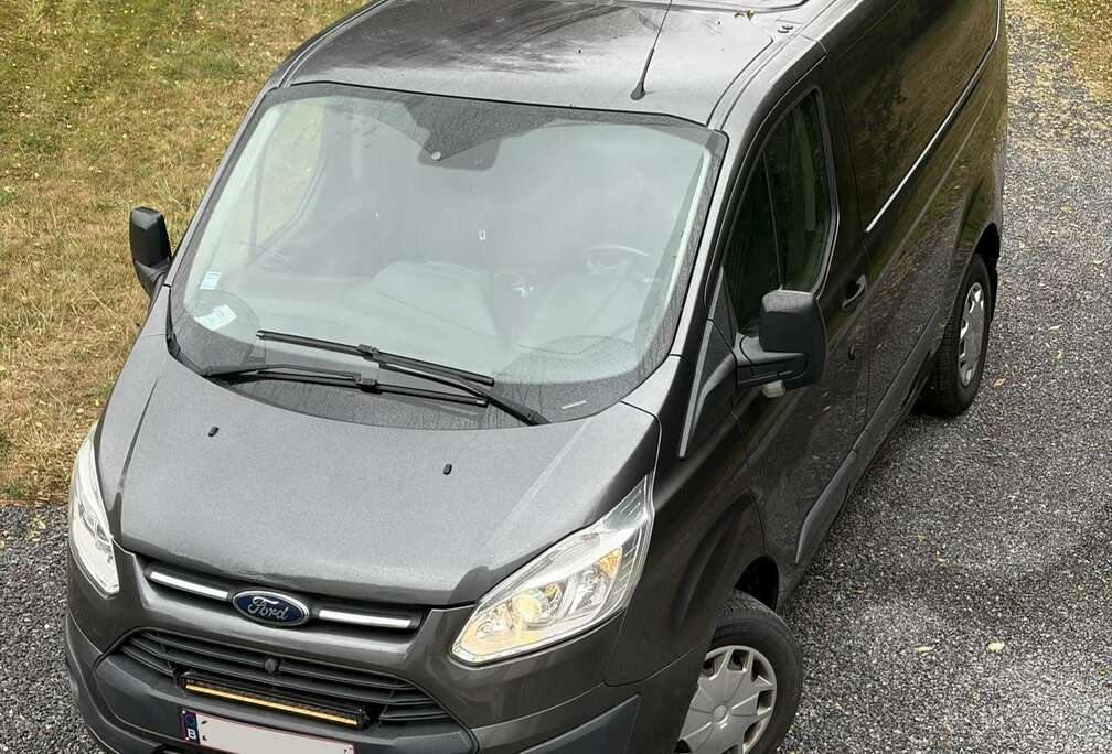 Ford 2.0 TDCi L1H1 Trend Multi-use