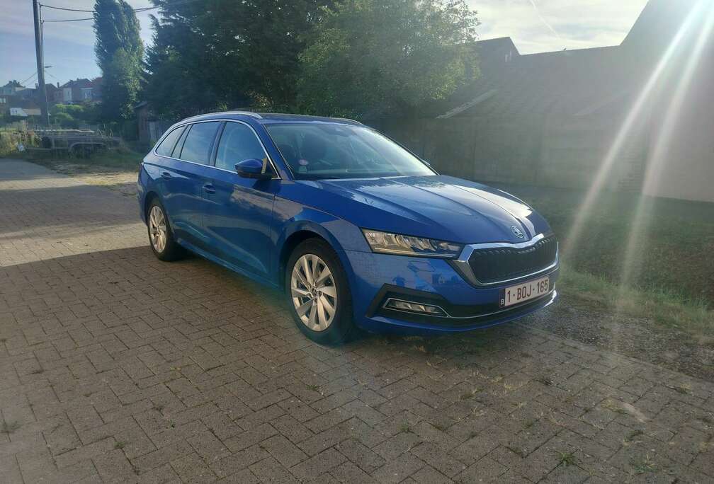 Skoda Combi 1.0 TSI e-TEC DSG family