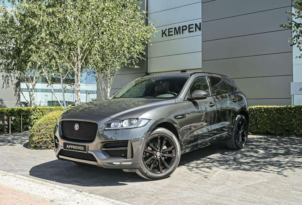 Jaguar R-SPORT P250 // Lichte Vracht