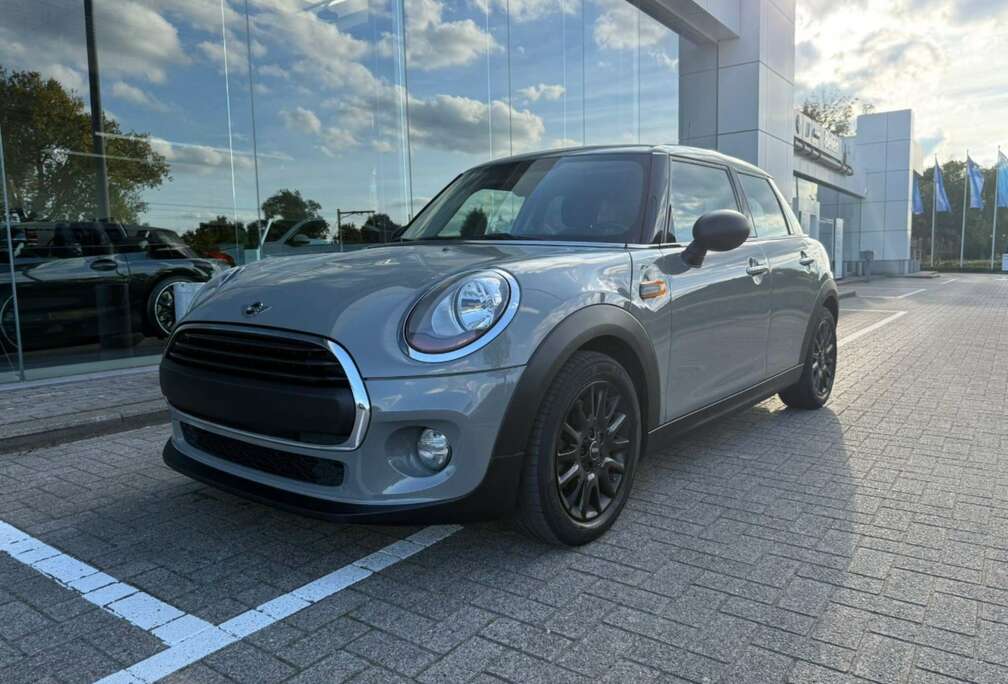 MINI