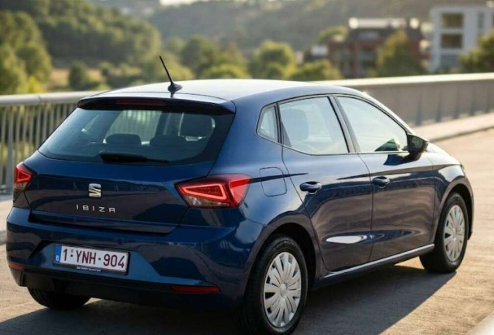 SEAT 1.0 tgi Business 90cv