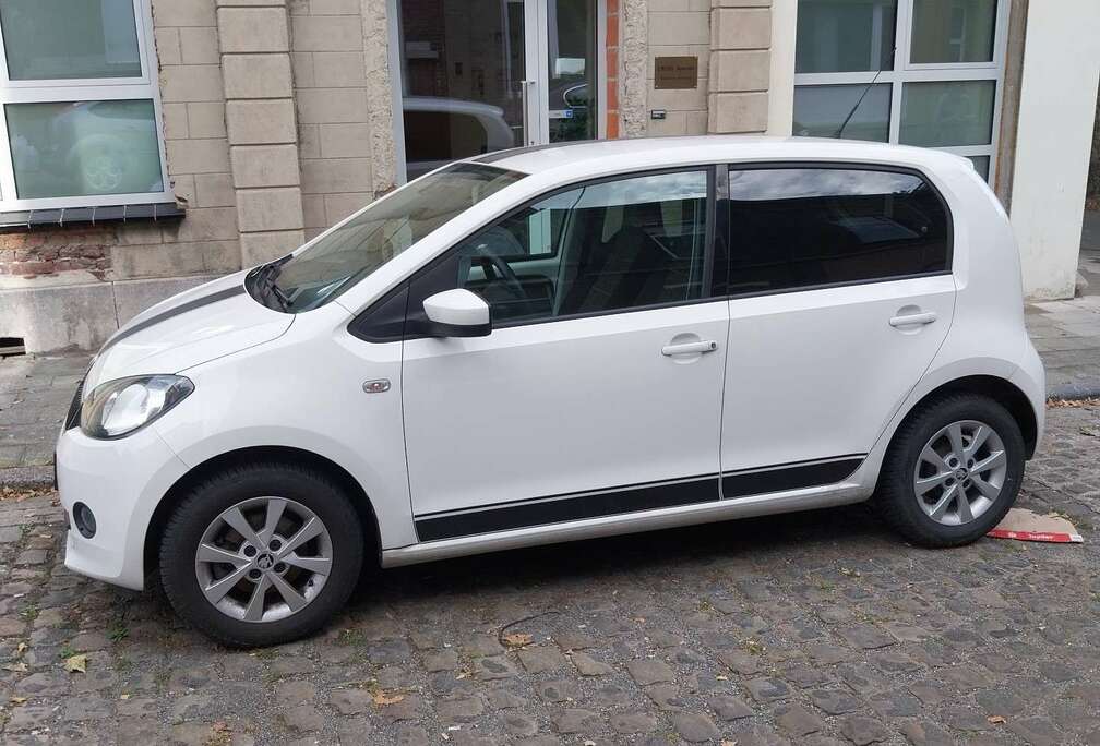 Skoda 1.0