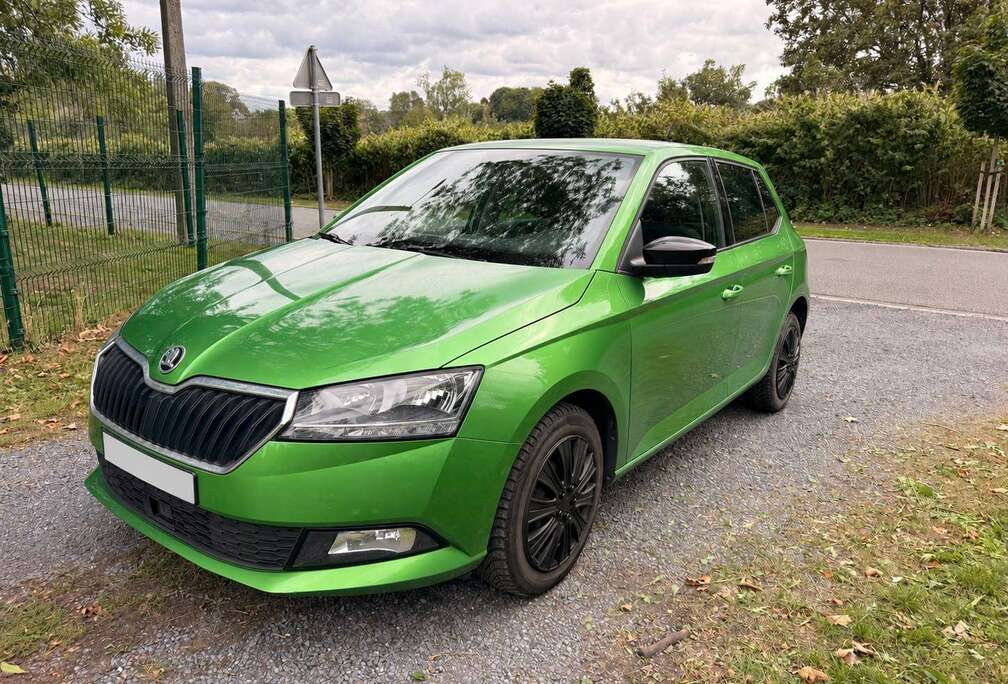 Skoda 1.0 TSI 95ch – 2019 – 73.200 km – 1er propriétaire