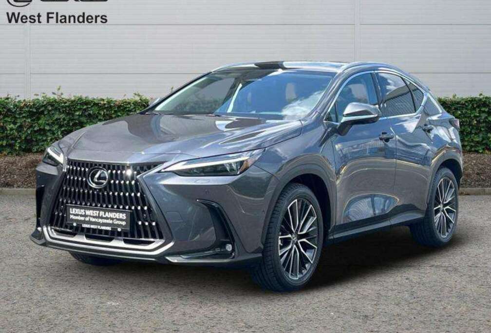 Lexus Privilege Line + OPEN ROOF