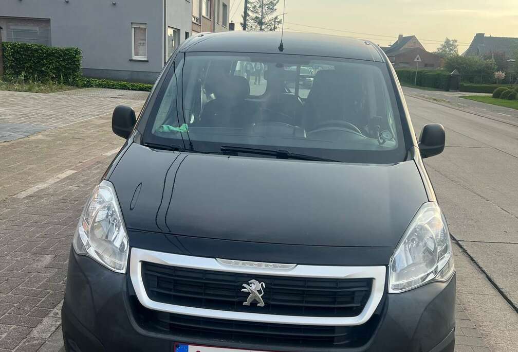 Peugeot 1.6 BlueHDi 75 L1 FAP Pro Avantage Plus