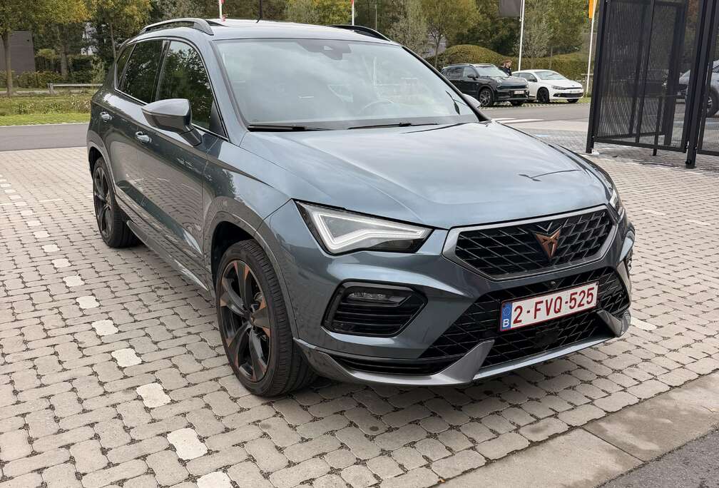 2.0 TSI 4Drive DSG