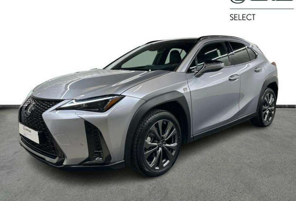 Lexus F-Sport Design  winter pack