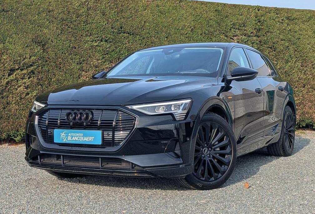 Audi (Q8)e-tron 55  - head up - nachtcamera