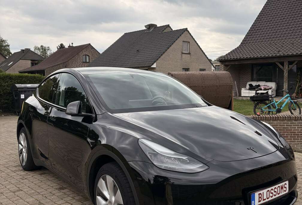 Tesla 52 kWh Standard Range RWD