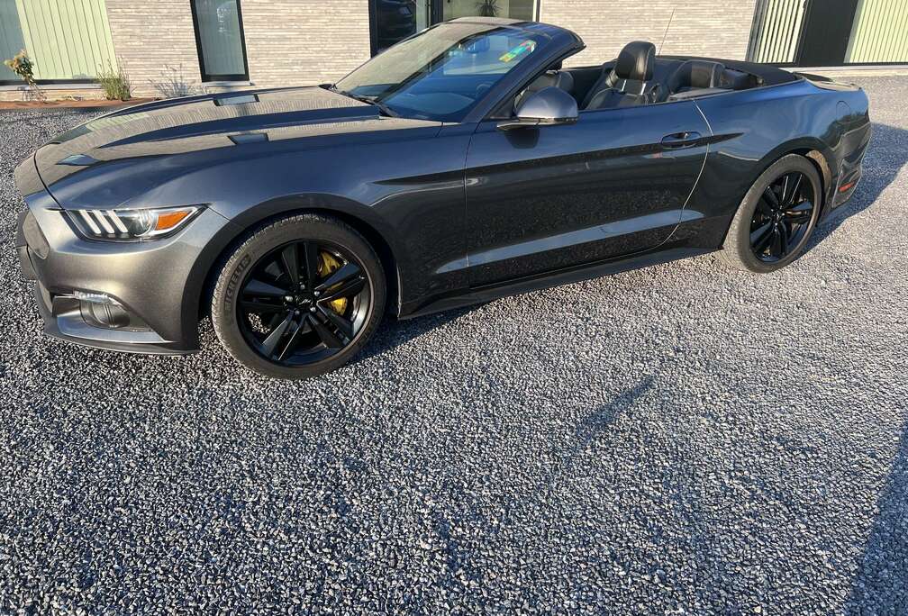 Ford Convertible 2.3 EcoBoost 317