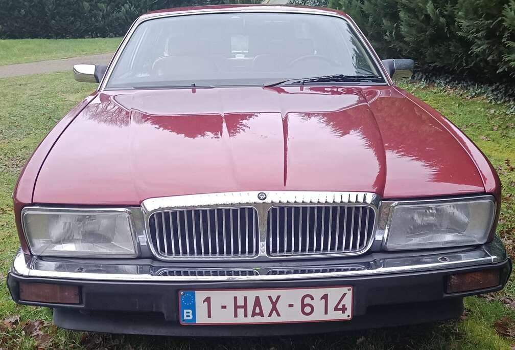 Jaguar Jaguar XJ40 Daimler, LPG dagelijks gereden