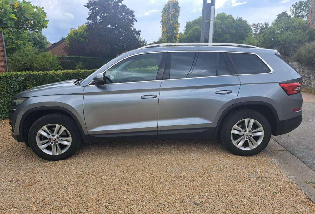 Skoda Kodiaq 2.0 CR TDi 4x4 Ambition DSG
