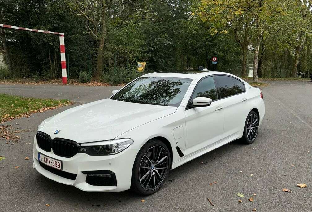 BMW 530e iperfomance