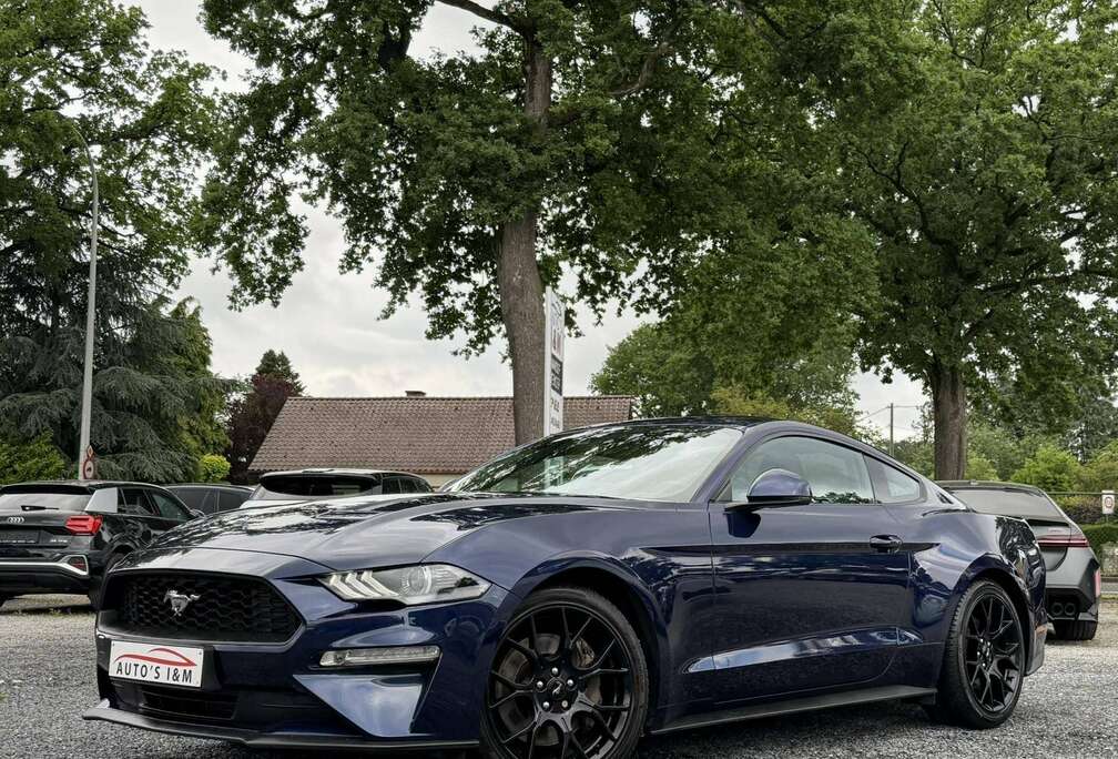 Ford 2.3 EcoBoost Automaat Leder Zetelkoeling Garantie