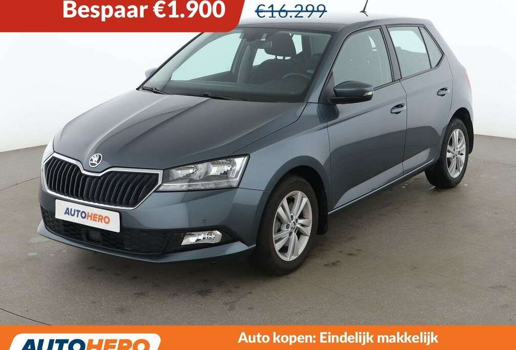 Skoda 1.0 TSI Style