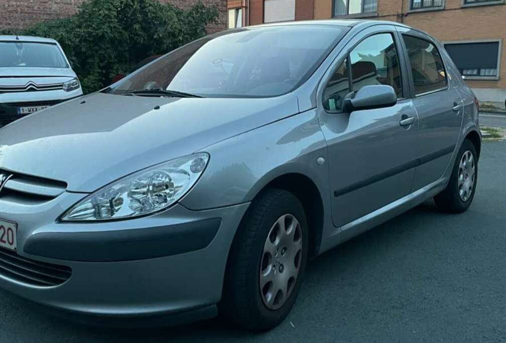 Peugeot 1.4i XS sans controle